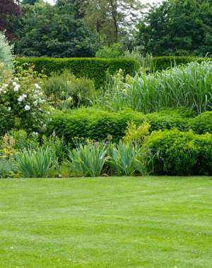 entretien jardin landes