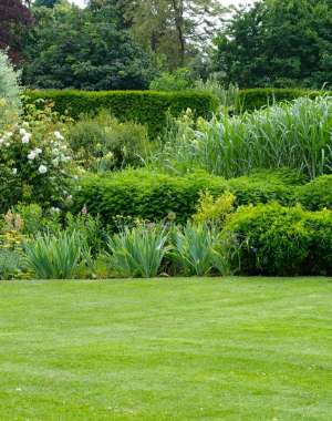 entretien jardin landes