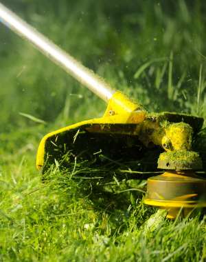 entretien jardin landes